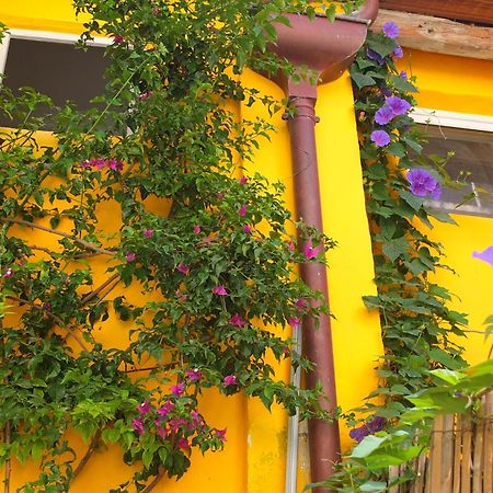La Maison Jaune 塞特港 客房 照片