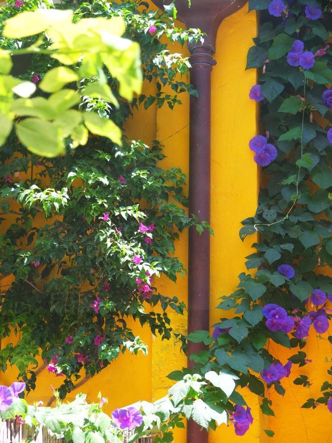 La Maison Jaune 塞特港 外观 照片